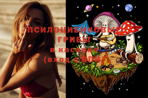 гидропоника Алексеевка