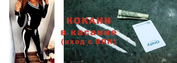 твердый Алексин