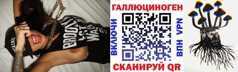 закладка  Сосенский  Псилоцибиновые грибы GOLDEN TEACHER 